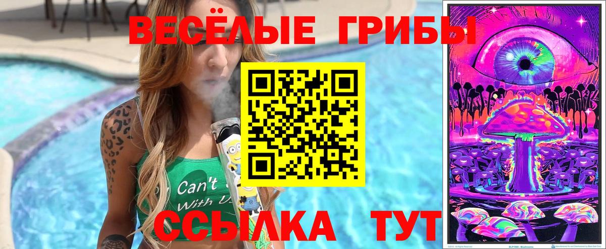 Химки  Галлюциногенные грибы мухоморы  Вход с VPN  Псилоцибиновые грибы Psilocybine cubensis 