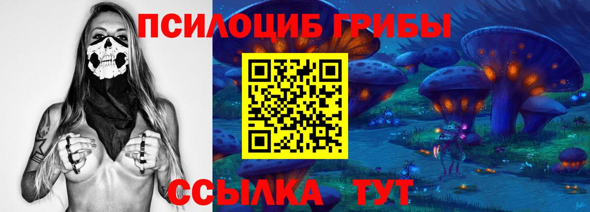 Псилоцибиновые грибы прущие грибы Химки